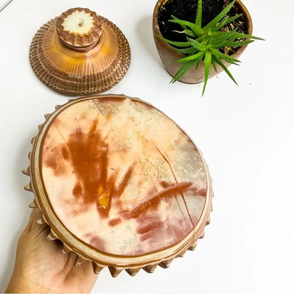 VINTAGE Shell-Inspired Stone Vase with Lid | Coastal Sculptural Décor - Picture 6 of 7